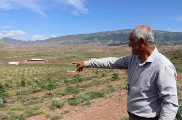 Uzundereli girişimci, çorak topraklara can verdi
