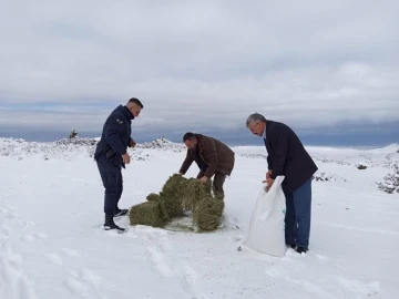 Yaban hayvanları için doğaya yem bırakıldı
