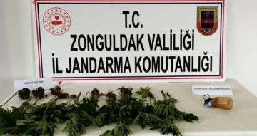 Zonguldak 28 kök kenevir bitkisi ele geçirildi
